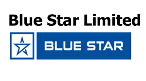 blue star Data Center Stock