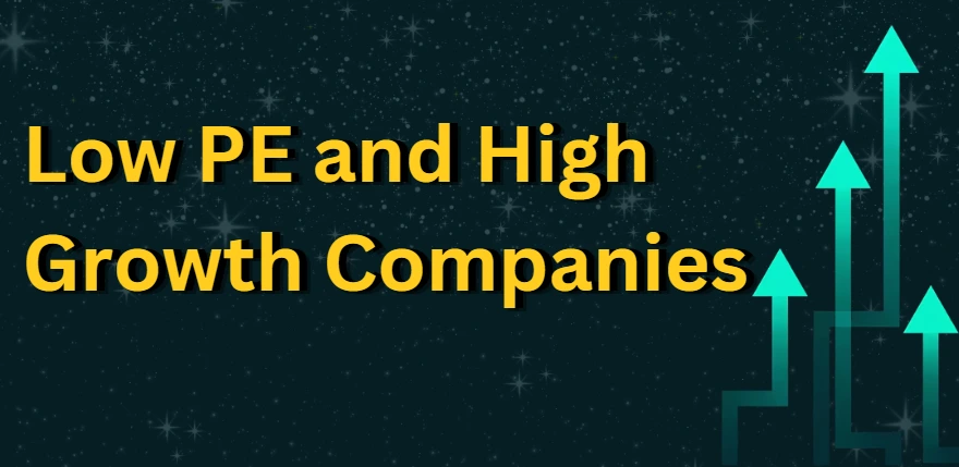 Small-Cap High Growth Company